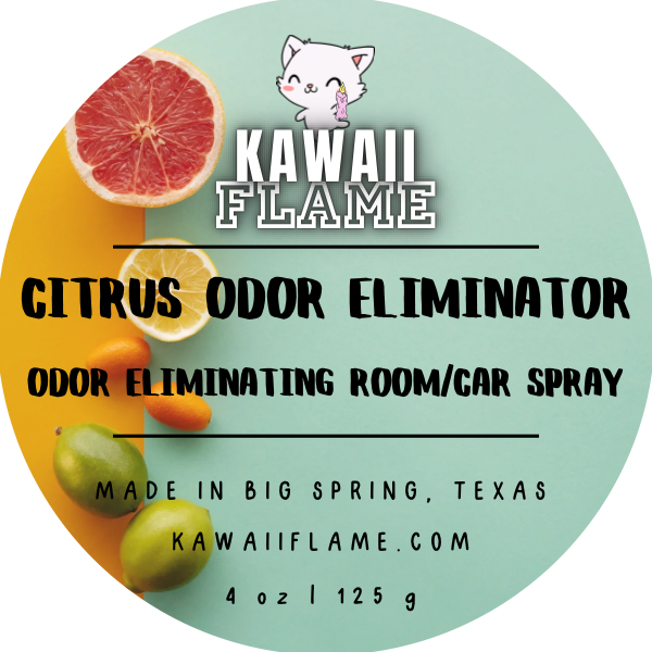 Citrus Odor Eliminator Room/Car Spray